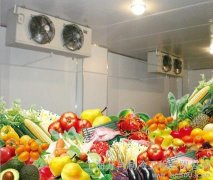 安裝一座冷庫存放蔬菜需要多少錢，造價多少