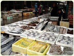 上海海鮮低溫冷庫建造，水產品低溫冷庫造價